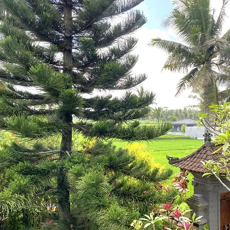 Villa Agung Khalia Ubud Extérieur photo