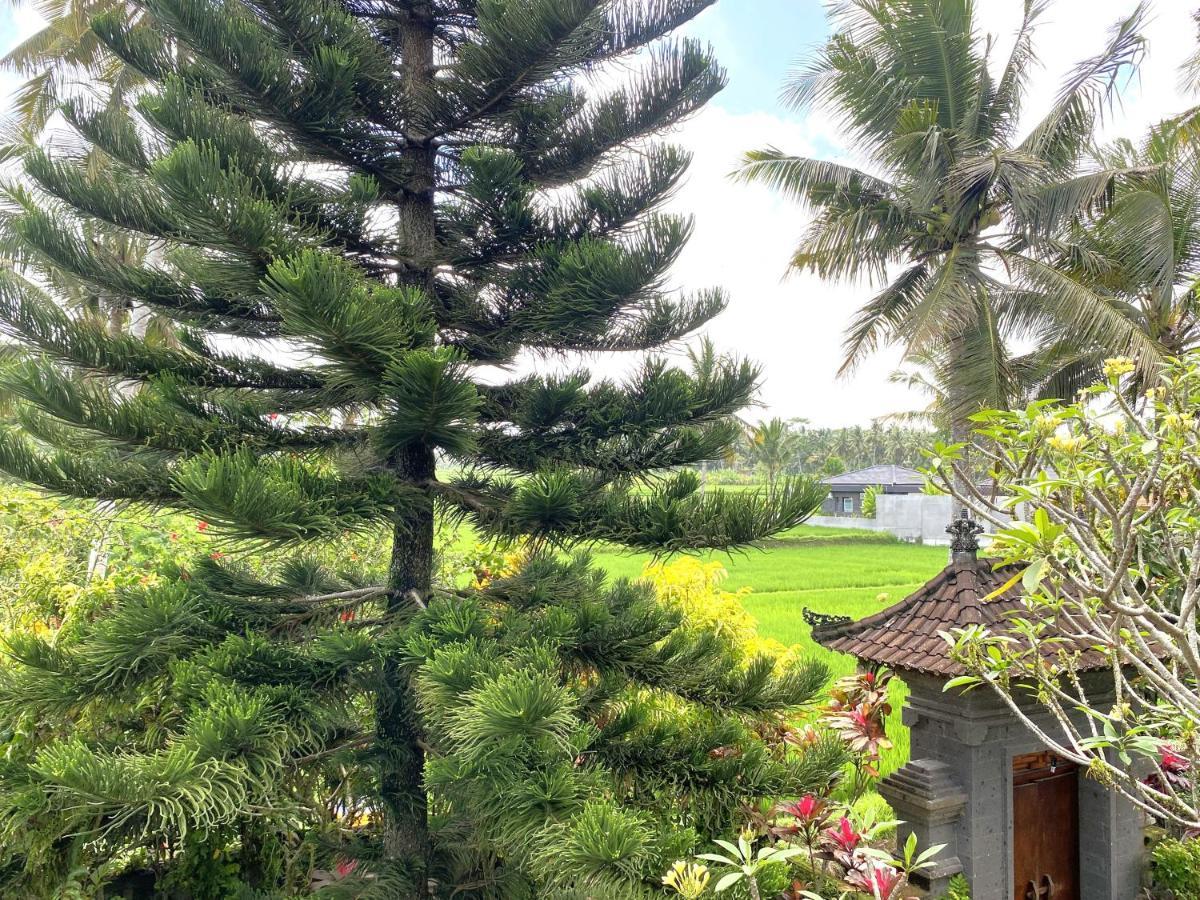 Agung Khalia * Ubud